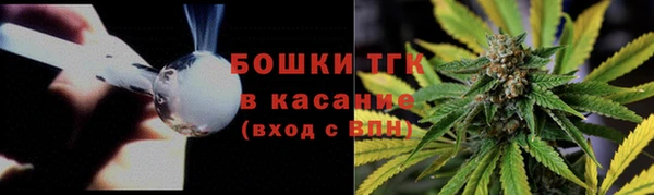 дживик Белокуриха