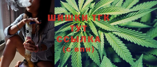 дживик Белокуриха