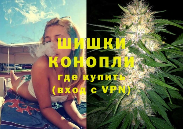 дживик Белокуриха