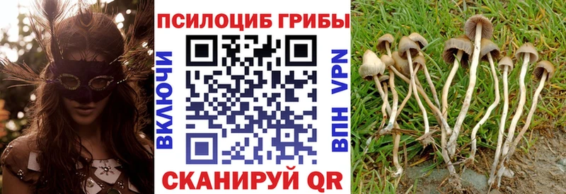 Псилоцибиновые грибы ЛСД  Купить  Ворсма 