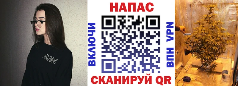 Бошки Шишки MAZAR  Купить закладки  Ворсма 